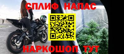 сатива Коммунар