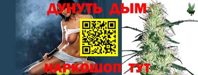 сатива Коммунар