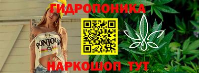 сатива Коммунар
