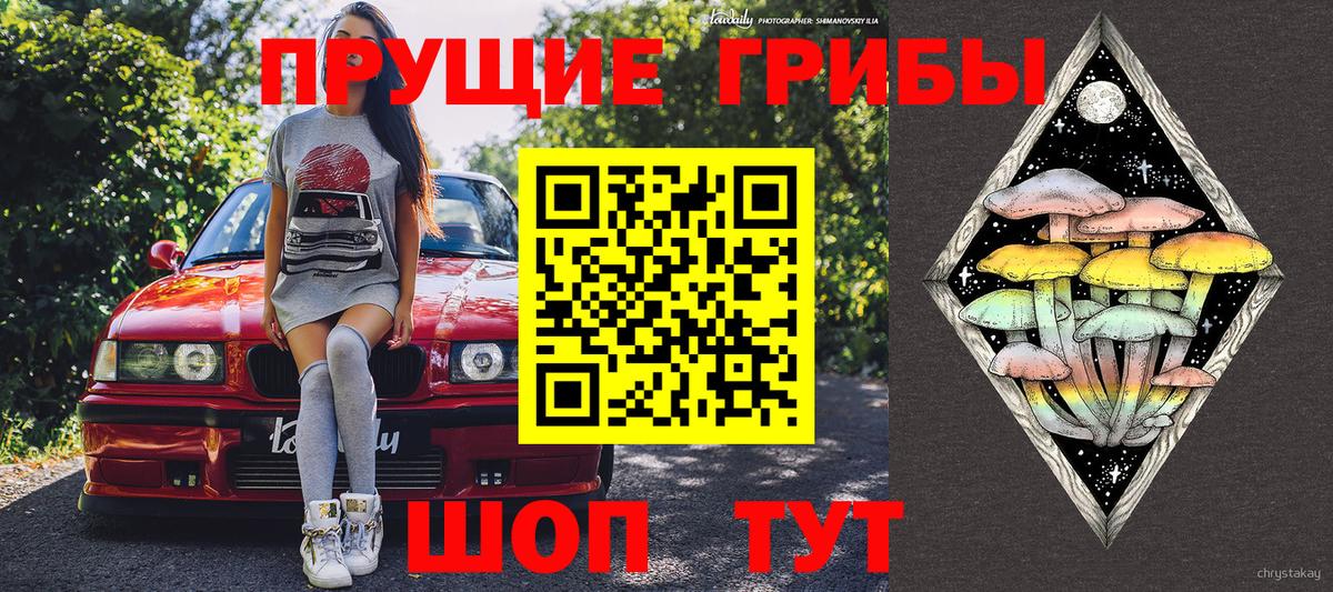 Псилоцибиновые грибы мицелий  Вход с VPN  Кемерово 